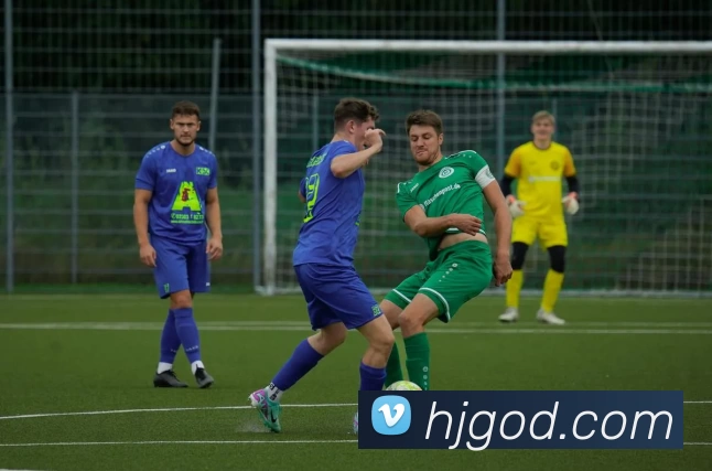 App Interface Preview